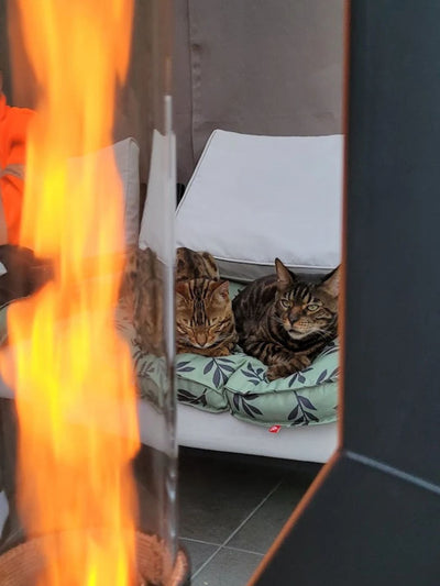 Perfekt für gemütliche Abende auf der Terrasse.